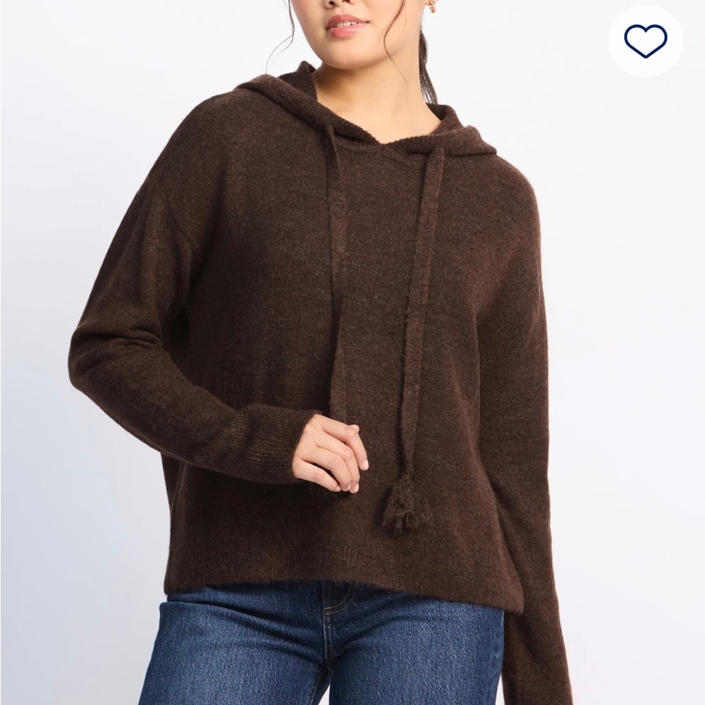Brown Hooded Sweater